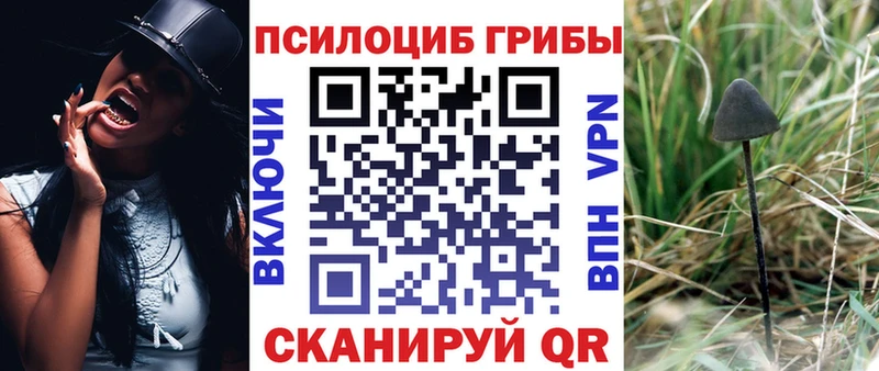 Галлюциногенные грибы GOLDEN TEACHER  Купить закладки  Лиски 